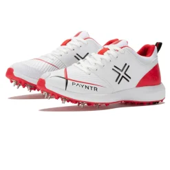 Hombre Payntr V Cricket spikes